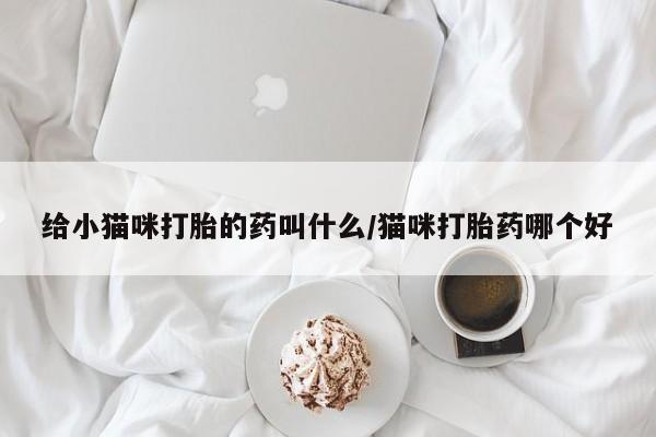 意外怀孕不想要打胎药微信购买给小猫咪打胎的药叫什么/猫咪打胎药哪个好