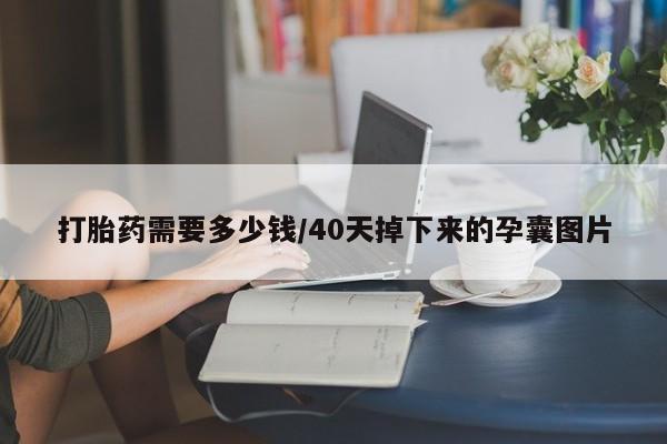 意外怀孕不想要打胎药微信购买打胎药需要多少钱/40天掉下来的孕囊图片